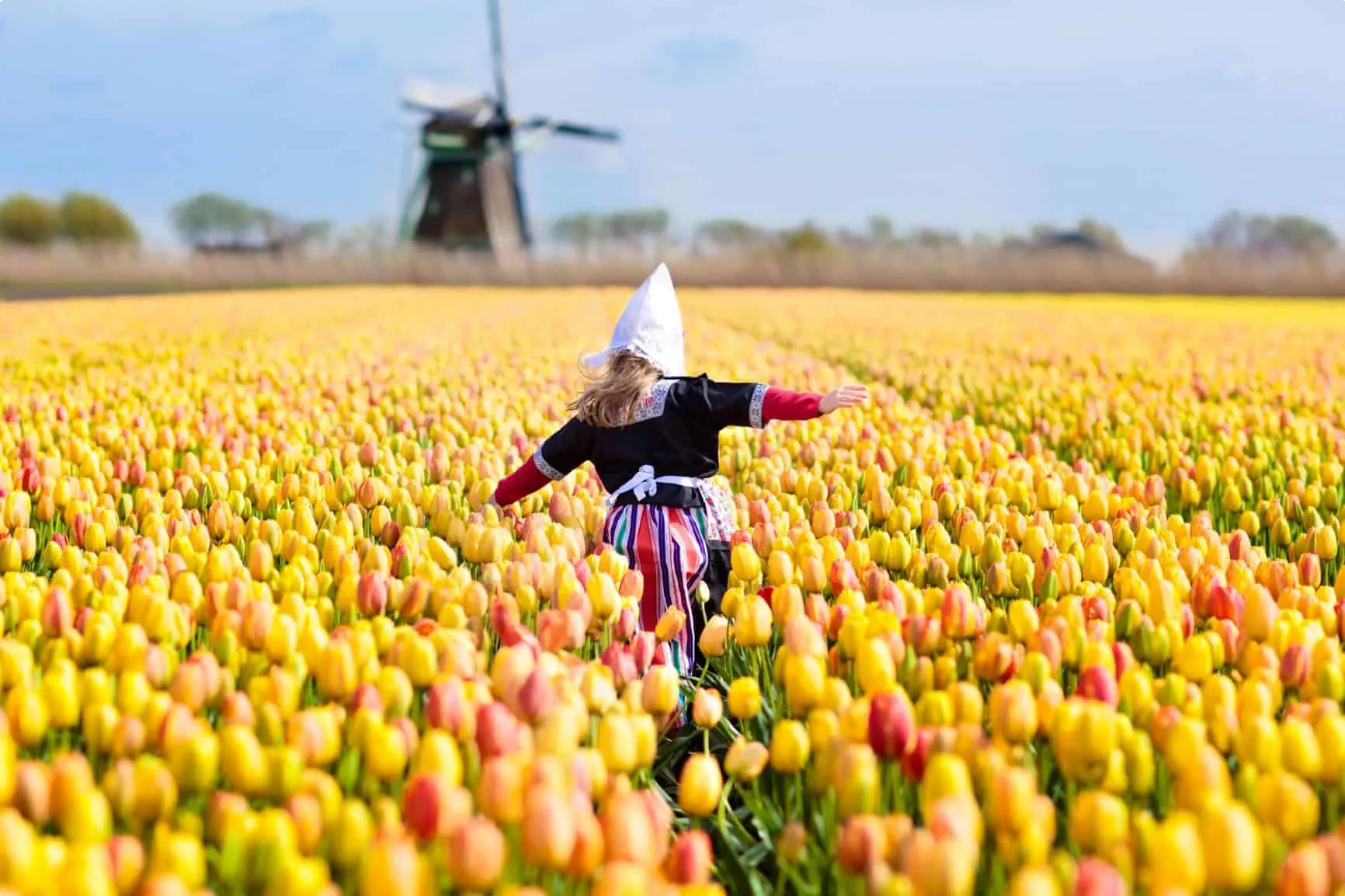 Study in Netherlands